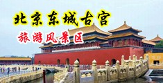 欧美啪啪啪性交中国北京-东城古宫旅游风景区